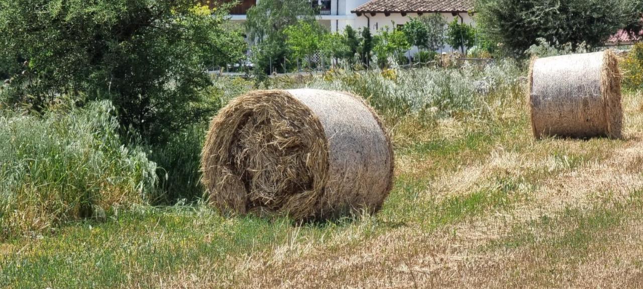 Masseria Milu' Siponto Bagian luar foto