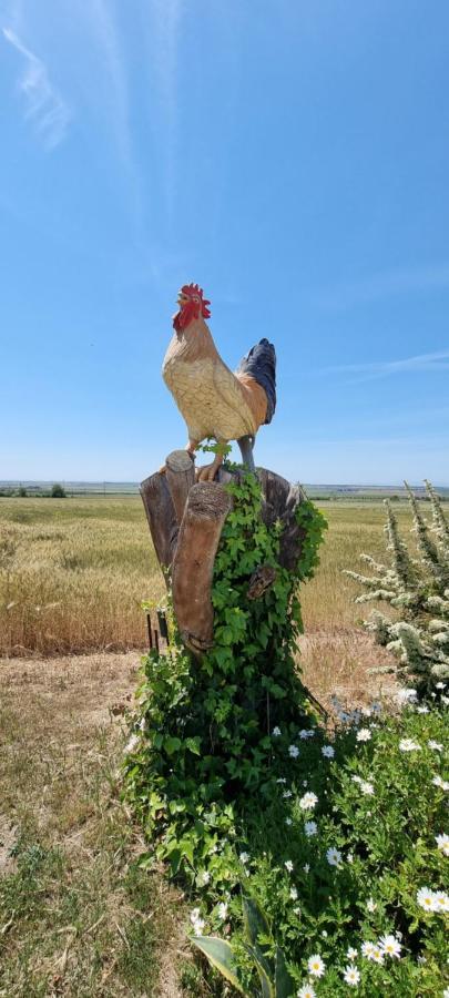 Masseria Milu' Siponto Bagian luar foto